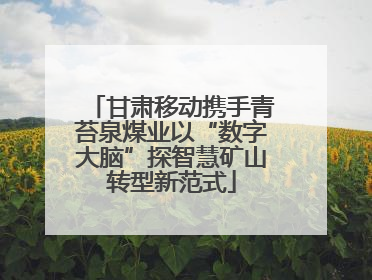 甘肃移动携手青苔泉煤业以“数字大脑”探智慧矿山转型新范式